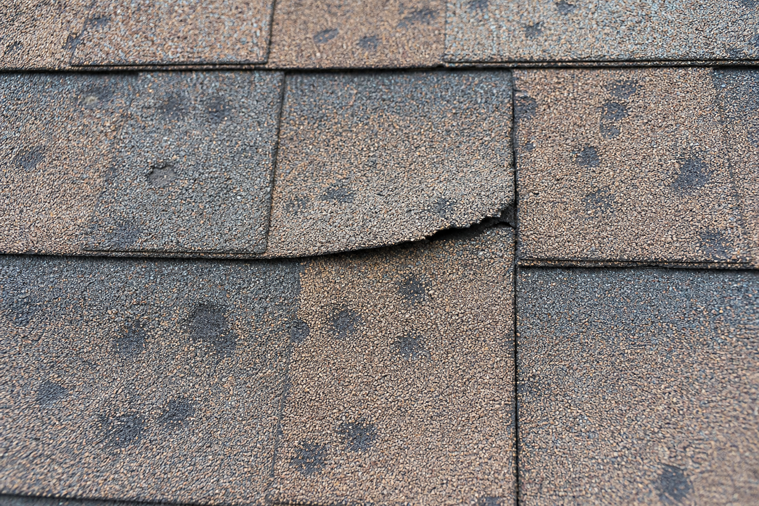 Hail damage bruises and cracked shingles requiring storm damage roof repair in Fairfax VA